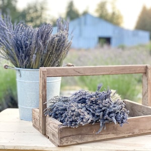 Dried Lavender Bunch Bouquet Wedding Bundle, Wedding Decor