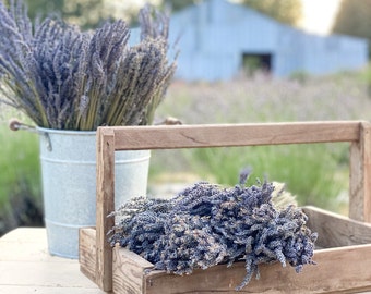 Ramo de lavanda – Arreglos florales fragantes para bodas y decoración del hogar