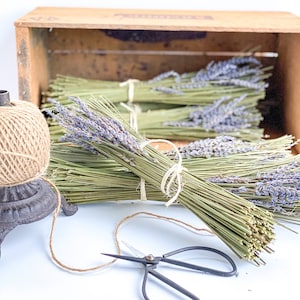 Set of 4 Lavender Fire Starter Bundles Dried Natural Lavender