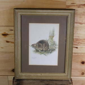Op de afbeelding: Een ingelijste print van een bruine bever die op een tak zit met een boomstam op de achtergrond. De print is in een lichtbruin frame met een bruine passe-partout.