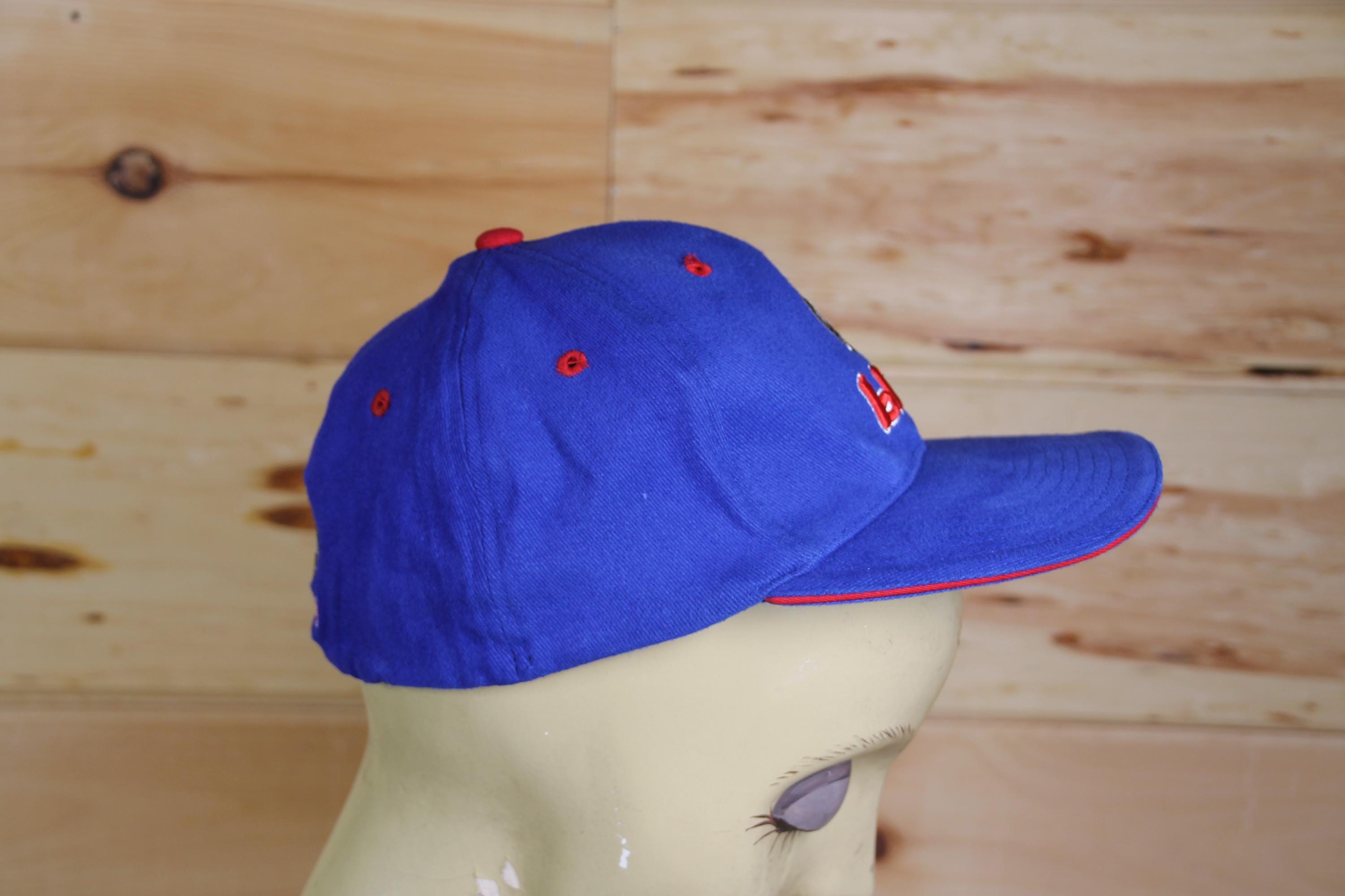 Vintage Y2k Blind Skateboard Skate Hat Flex Fit Adult Size - Etsy