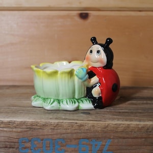 May include: A ceramic ladybird planter with a red and black body, holding a light blue flower. The planter is shaped like a flower with green leaves and yellow petals. The ladybird has a smiling face.