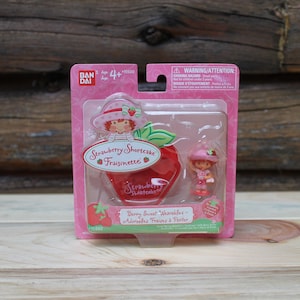 Strawberry Shortcake 2002 - Etsy