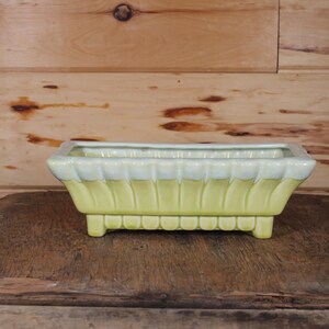 May include: A rectangular ceramic planter with a light green glaze and white accents. The planter has a fluted design and sits on a wooden surface.