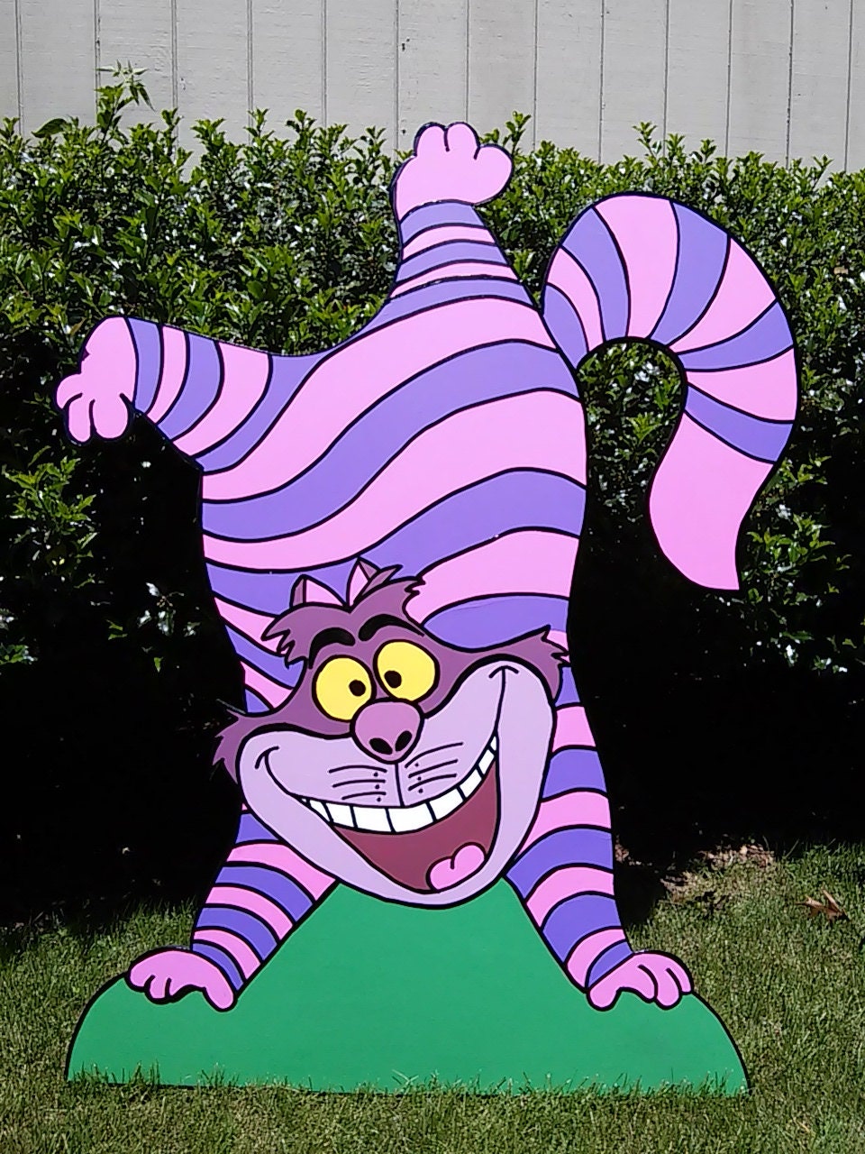 ピンクの猫 さま　CarlZeiss 300mm f4 Y/Cマウント FOAMBOARD - Handstand CHESHIRE CAT - Inspired by Alice in