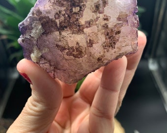 Múzquiz Purple and Yellow Fluorite