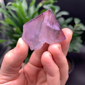 May include: A purple fluorite crystal with a sharp, geometric shape. The crystal is translucent and has a slight shimmer.