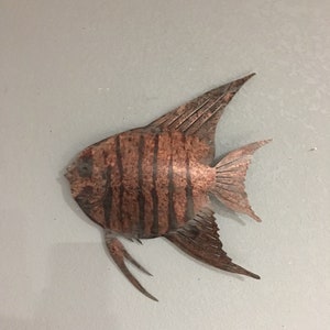 Angel fish  - Fish  -  Beautiful Color Fish  -   Home Decor   -  Metal Art   -  Wall Hanging