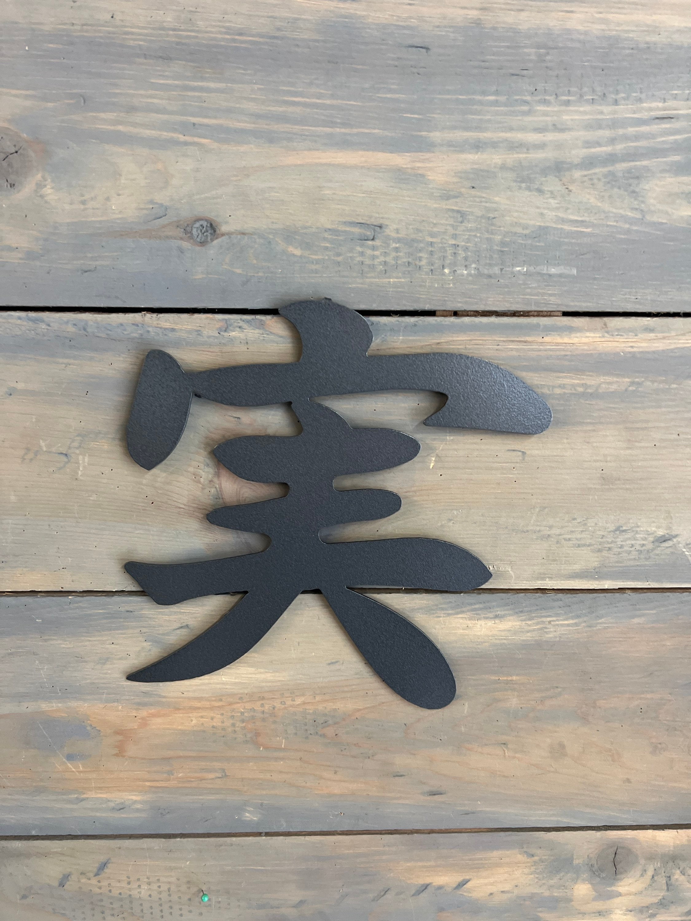 Steel Japanese Kanji 