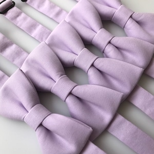 Lilac bow tie. Light purple bow tie. Iris bow tie. Iris Davids Bridal.