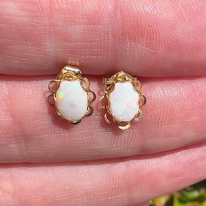 May include: A pair of gold stud earrings featuring oval-shaped white opals with iridescent flashes of color. Each opal is set within a decorative gold frame that has a scalloped, openwork edge, creating a delicate and detailed appearance.