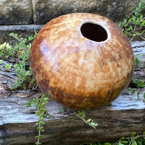 Petite Gourd Bowl