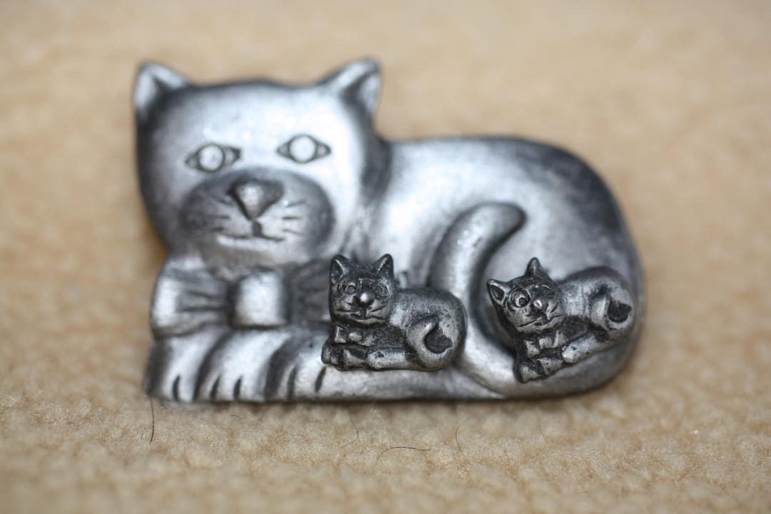 Cute Pewter Cat Pin With Inset Removable Kitten Earrings Set Etsy