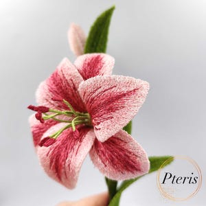 May include: Embroidered flower with pink and red petals, green stem and leaf. The flower has detailed stitching and a realistic appearance. The petals have a striped pattern. The flower is set against a light background. The text "Pteris" is in the lower right corner.
