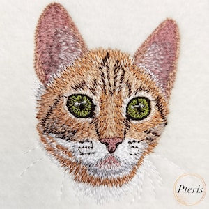 Cat Face Portrait Machine Embroidery Design for home dnd clothes decor 3 Sizes - 4x4, 5x7 Hoop.