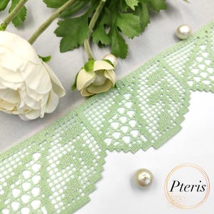 May include: A close-up of a light green lace trim with a scalloped edge. The lace features a delicate openwork design with heart-shaped cutouts. White flowers and pearls are arranged around the lace. The word "Pteris" is in a gold circle.