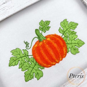 May include: Embroidered orange pumpkin with green leaves and a curly vine on a white background. The pumpkin is the focal point, surrounded by detailed green foliage. The design is framed in a white wooden border.