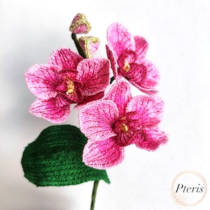 Può includere: Un fiore di orchidea rosa con una foglia verde, ricamato con dettagli fini. Il fiore è una scelta popolare per la decorazione della casa e i regali.