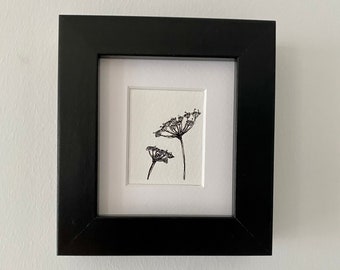 Miniature Framed Original Cow Parsley Watercolour Artwork | Framed Illustration | Pen Drawing