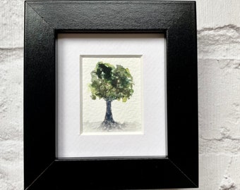 Miniature Framed Original Tree Watercolour Artwork | Framed Illustration | Nature Picture