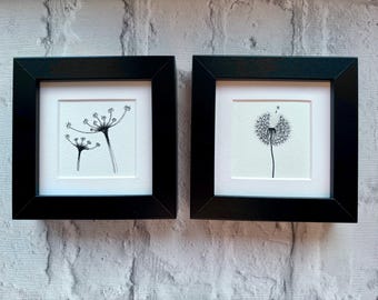 Framed Original Cow Parsley and Dandelion Watercolour Art, Framed Nature Illustration, Pen Drawing, Flower Painting, Floral