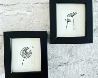 Miniature Framed Original Cow Parsley and Dandelion Watercolour Art, Framed Nature Illustration, Pen Drawing, Flower Painting, Floral