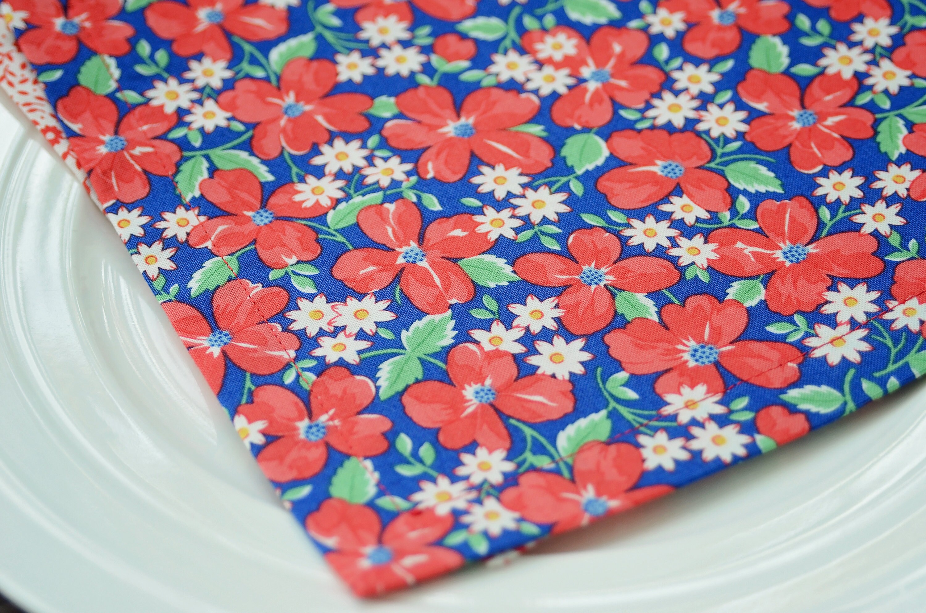 Red and Blue Cloth Napkin set Vintage pattern curated set Etsy