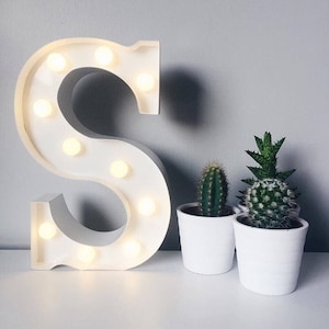 May include: White metal letter S with light bulbs, illuminated, on a white surface. Three small potted succulents in white pots are in the background.