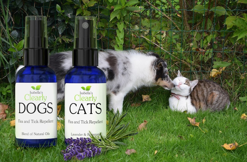 Cat Flea and Tick Repellent Spray I Non Toxic Natural Rosemary Etsy