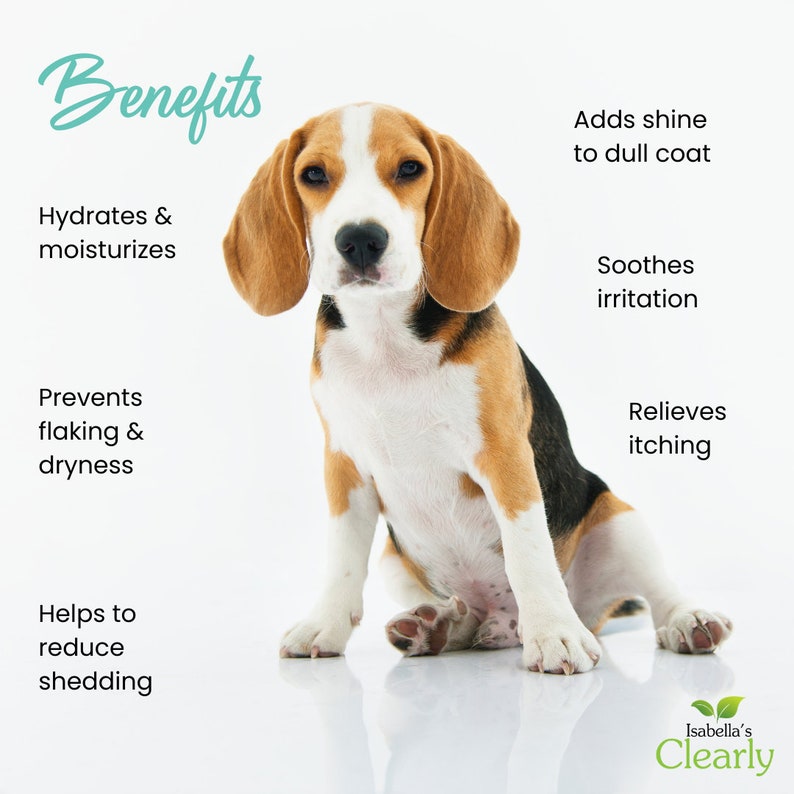 SKIN & COAT Topical Oil for Dogs Relieve Dry Itchy Skin and Irritation