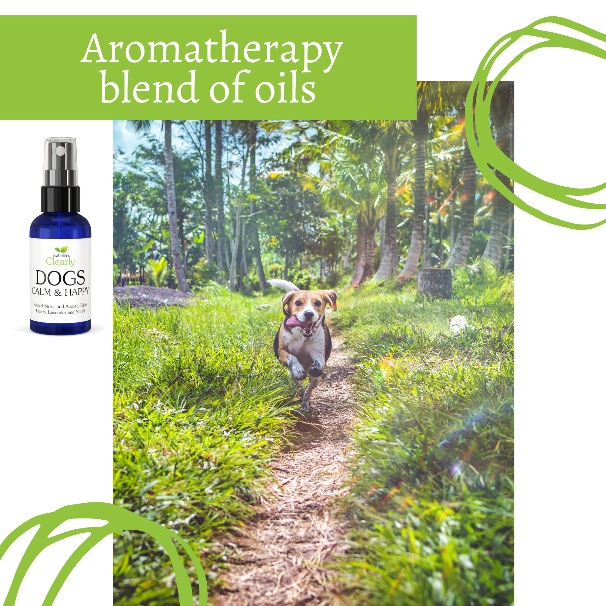 Essential Oils for Dogs Calming Blend for Anxiety Relief Etsy
