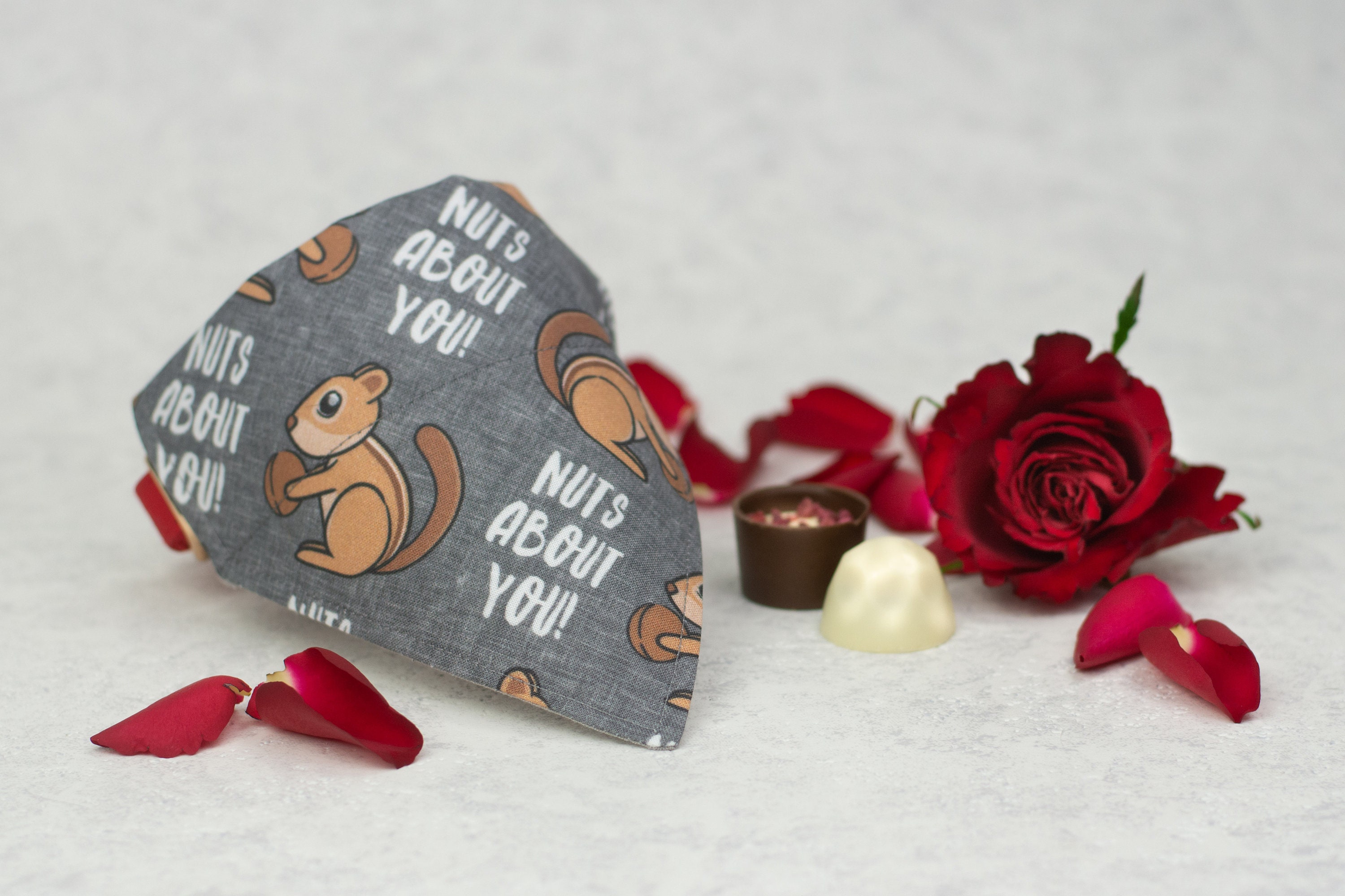 Handmade Dog Bandana Valentines Day Nuts About You