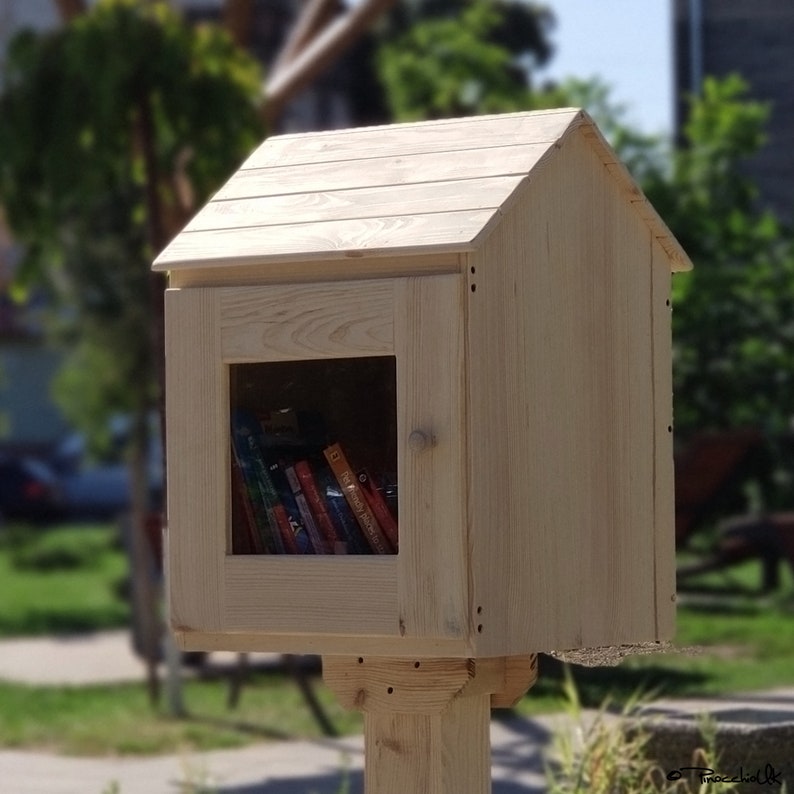 Outdoor Shared Library Lending Neighborhood Sidewalk Loan image 9