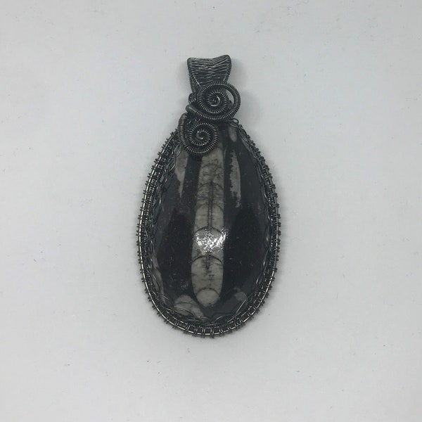 Orthoceras Fossil Cabochon Anhänger