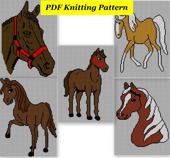 5 X Childrens \u0026 Adults Horse Jumper 