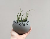 Porcelain Bowl, Coastal inspired, Decorative Vessel, Gift for Plant-lover, Wedding Gift, beach chic