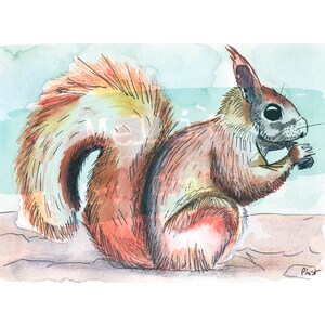 Kunstdruck Eichhörnchen Aquarell