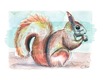 Kunstdruck Eichhörnchen Aquarell