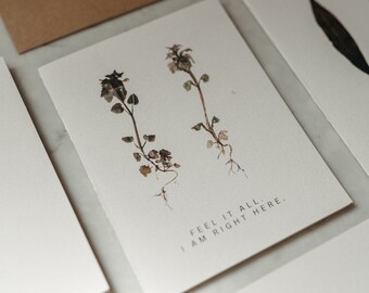 Botanical Cards