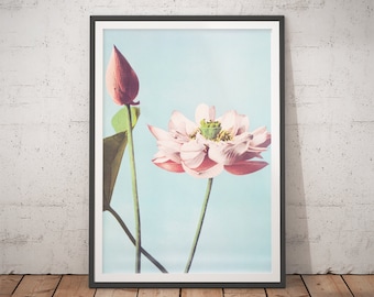 Ogawa Kazumasa Lotus Flowers Art Print | Vintage Remastered Japanese Botanical Wall Art