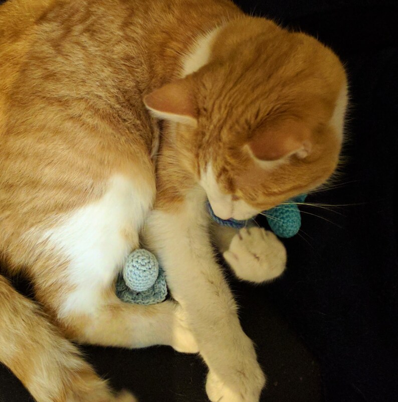 CROCHET Fish Cat Toy PATTERN Etsy