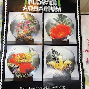 Vintage kitschy cool Flower Aquarium-new in box-Mod-groovy-flower preservation-glass globe-German-plant terrarium-mid century-retro-fun image 3