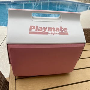 May include: A pink and white Playmate cooler by Igloo, with a handle on top. The cooler is sitting on a wooden surface, with a swimming pool in the background.