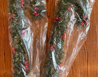 Vintage 1960s Holly Berry all plastic kitschy candy cane door / window decor-Christmas-kitschmas-new in package-21” long-mid century-retro