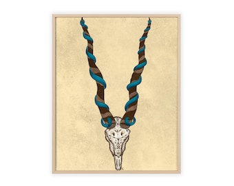 Blackbuck Antelope Skull with Twisted Horns Poster