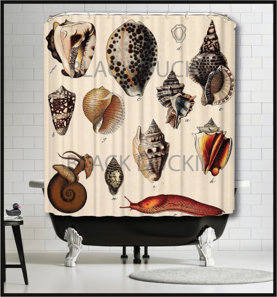 Seashells Shower Curtain Nautical Beach House Shells Etsy