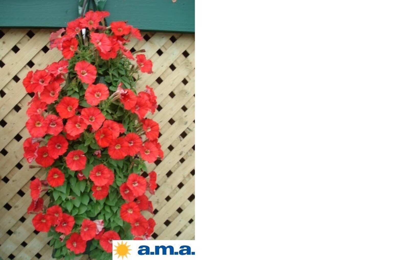 Plant Bag 5 Hanging Flower Pouches Al's Bags DYI Instruction Included