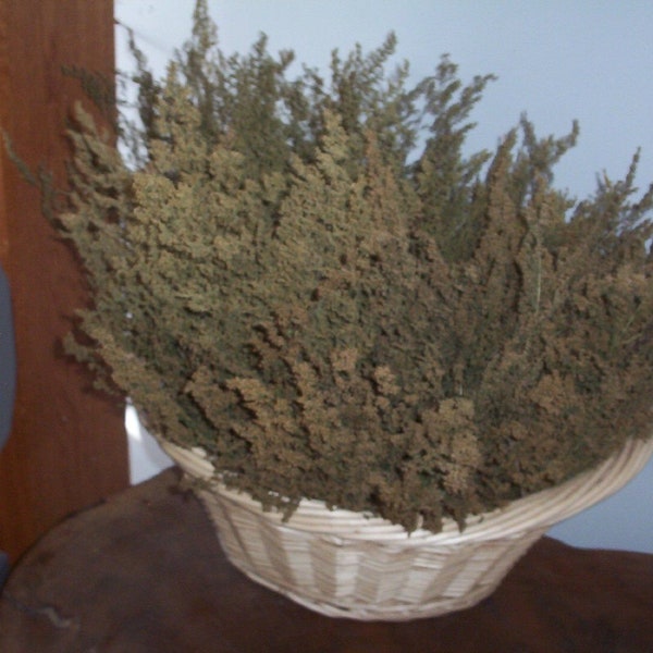 100 stems 4 in to 12 in. Dried Sweet Annie Artemisia for wreaths, arrangements, primative additions. SMELL GOOD. Fragrant