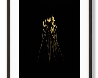 Wheat Photo Print: Minimalist Yellow Black Image (Digital Download)