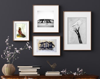 Black & White Photo Print Set: Bird, Car, Lily, Abstract (Digital Download)